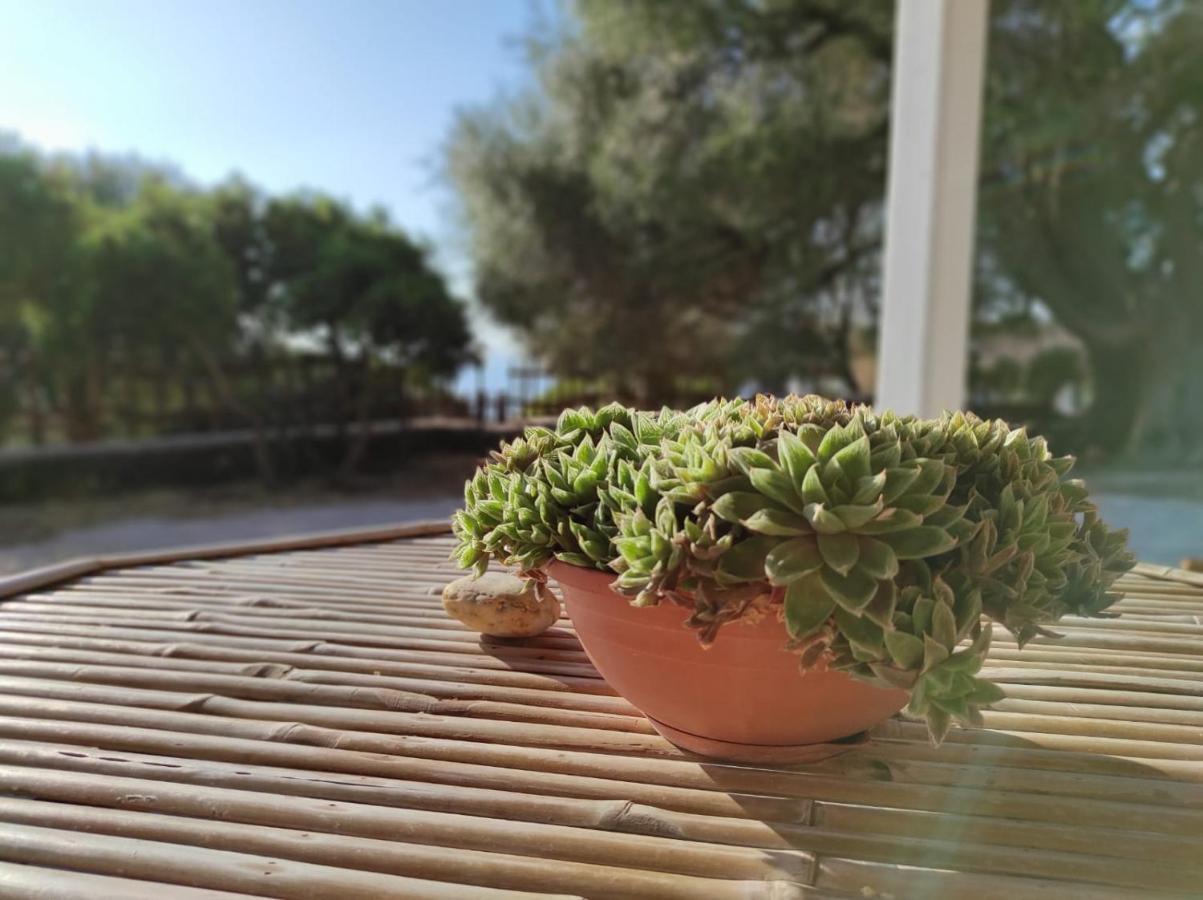 Casa Olivastra Villa Dorgali Eksteriør billede