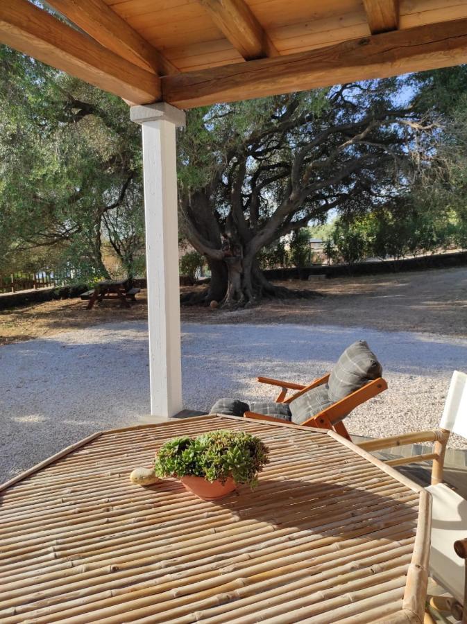 Casa Olivastra Villa Dorgali Eksteriør billede